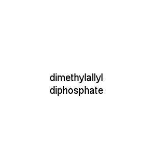 dimethylallyl  diphosphate